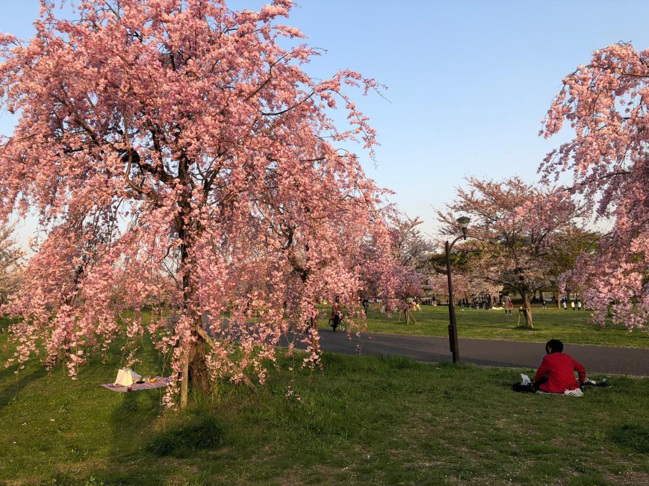 Tokyo Toneri Garden House-Stay Eksteriør bilde